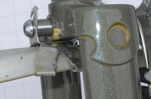 27-008_fennutwfender.jpg