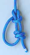 Animated Knots