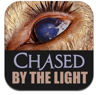 Screen Shot 2012 02 09 at 4 14 13 PM