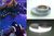 SOLAS Marine Reflective Tape
