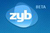 ZYB
