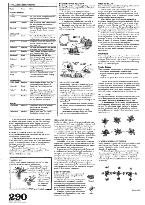 country-ex3lg.jpg