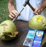 Thumbnail image for cocotap_2.jpg