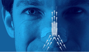 Breathe Right Nasal Strips