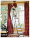 deep_step-safety-ladder-sm2.jpg