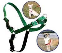 Gentle Leader Dog Harness
