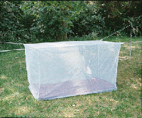 mosquitobar1.web.gif mosquitobar1.web.gif