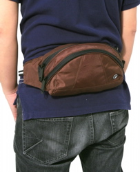 StashSafe 100 Hip Pack