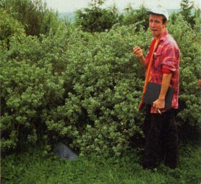 perennial-veg2.jpg