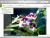 picnik-editor-sm2.jpg