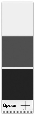 qpcard101_image-sm.jpg
