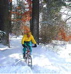 snow-tires-sm2.jpg