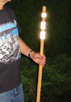 solas-walkstick-sm.jpg