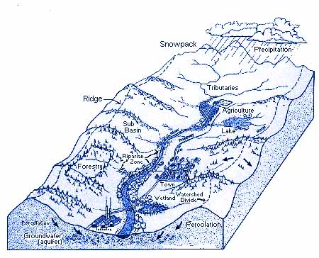 watersheds.jpg watersheds.jpg