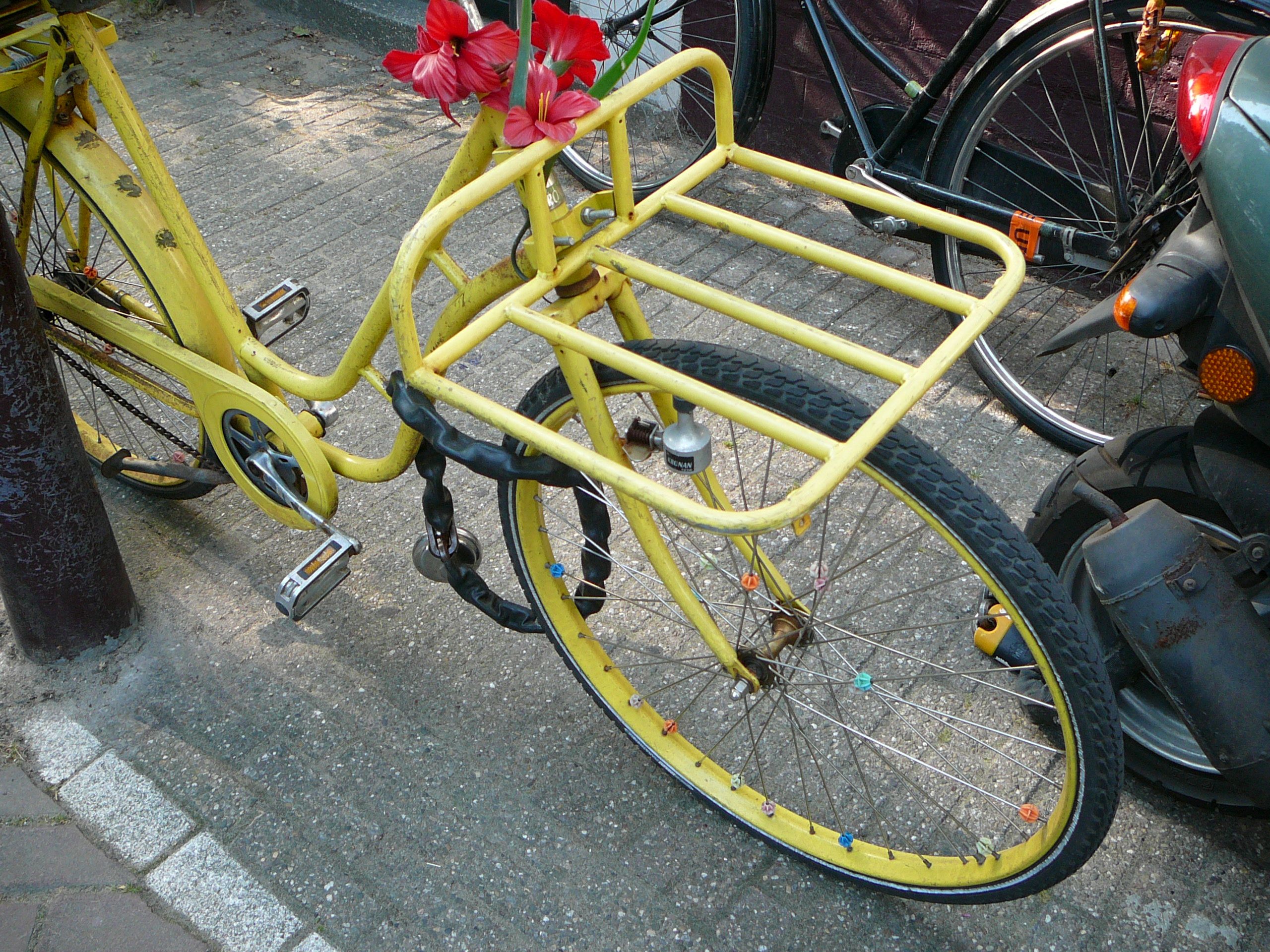 yellow back carriage yellow back carriage