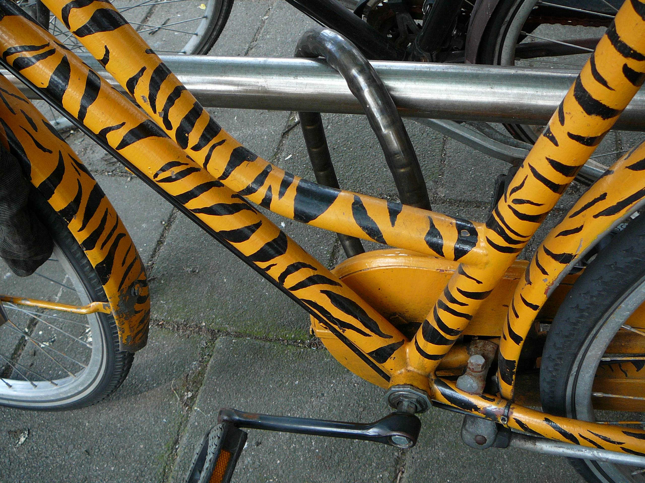tiger stripe bike tiger stripe bike