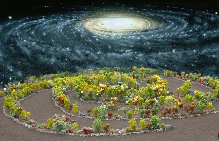 Galaxy Garden