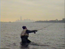 GothamFish6.jpg