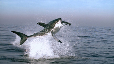 Planetearth1.jpg