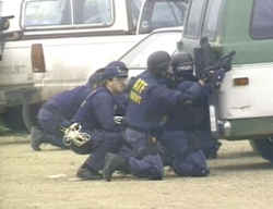 Waco2.jpg