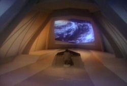 cosmos1.jpg