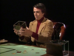 cosmos2.jpg