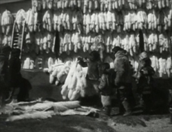 nanook2.jpg