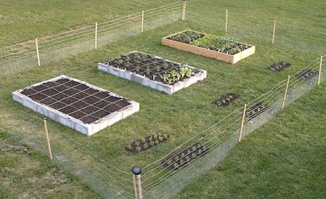 squarefoot-gardening2sm.jpg