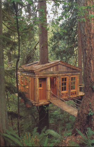 treehouse6.jpg